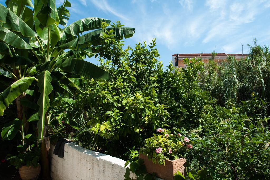Studios Margarita Petalidi Exterior photo